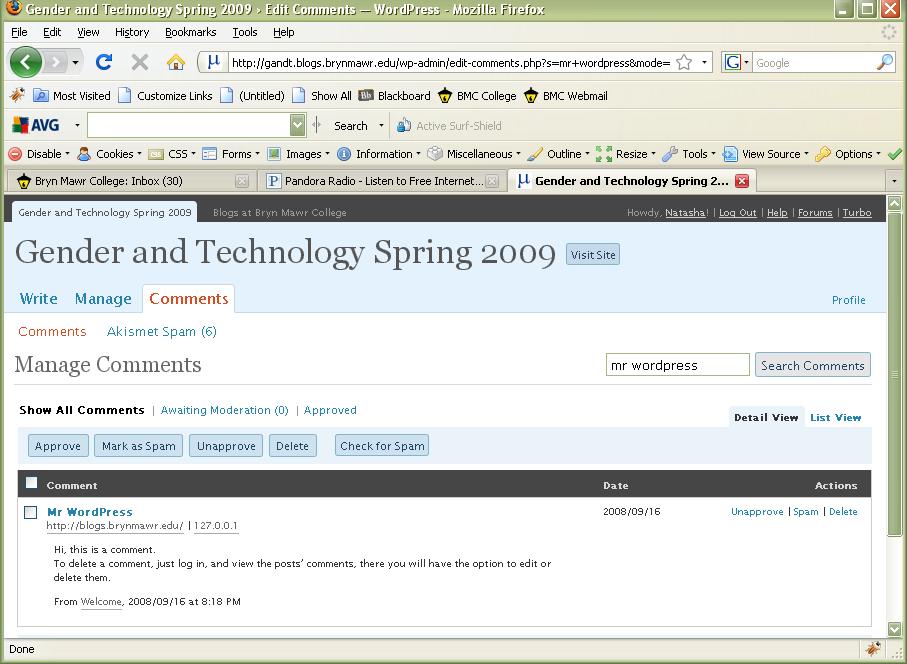 Technology portrayed as masculine by the fictional "Mr WordPress". The WordPress Company uses this poster-boy as their automatic comment-generator.
